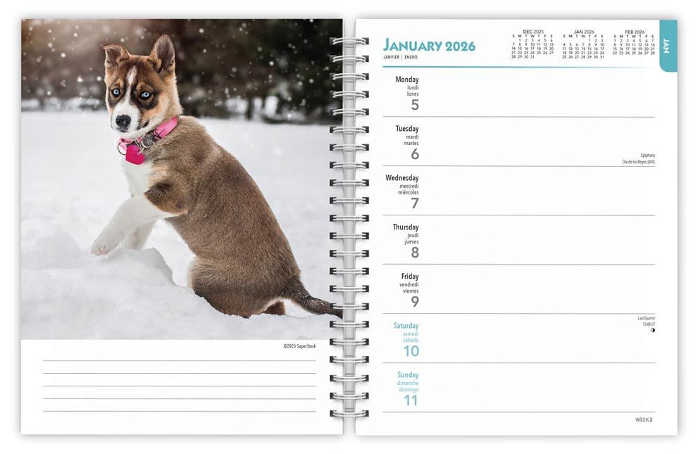 Browntrout I Love Puppies Agenda 2026