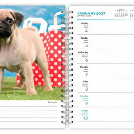 Browntrout I Love Puppies Agenda 2027
