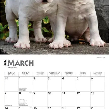 Browntrout I Love Puppies Kalender 2027
