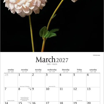 Browntrout In the Garden Kalender 2027