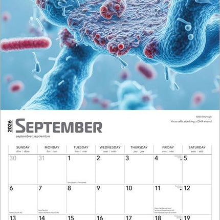 Browntrout Innerspace Kalender 2026