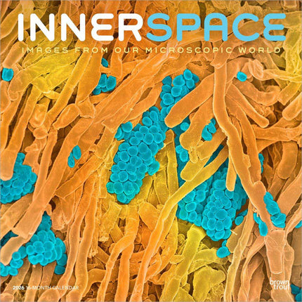 Browntrout Innerspace Kalender 2026