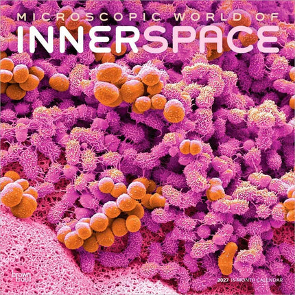 Browntrout Innerspace Kalender 2027