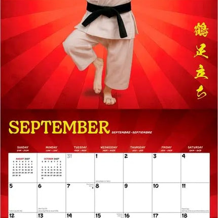 Browntrout Karate Katten Kalender 2027