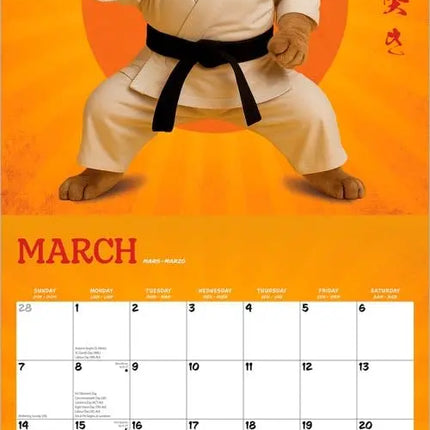 Browntrout Karate Katten Kalender 2027