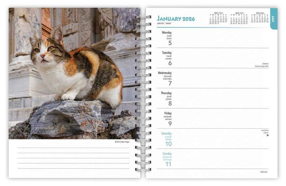 Browntrout Katten Agenda 2026