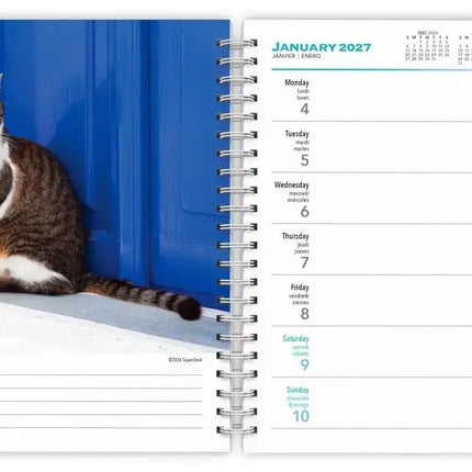 Browntrout Katten Agenda 2027
