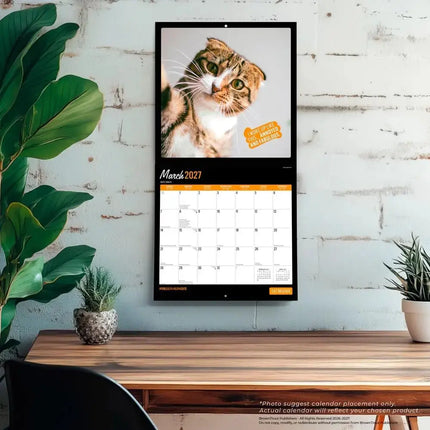 Browntrout Katten Selfies Kalender 2027