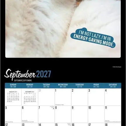Browntrout Katten Selfies Kalender 2027