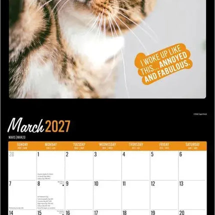 Browntrout Katten Selfies Kalender 2027