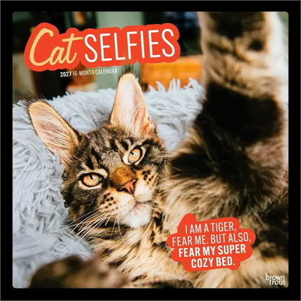 Browntrout Katten Selfies Kalender 2027