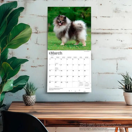 Browntrout Keeshond Kalender 2027