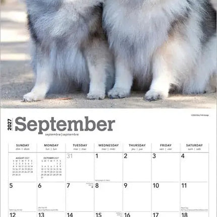 Browntrout Keeshond Kalender 2027