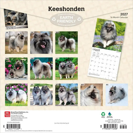 Browntrout Keeshond Kalender 2027