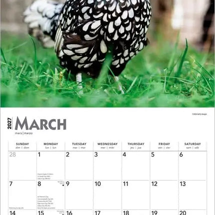 Browntrout Kippen Kalender 2027