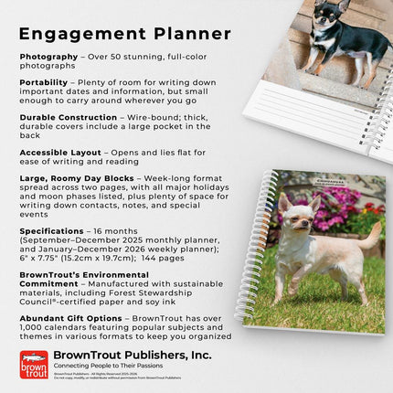 Browntrout Kittens Agenda 2026