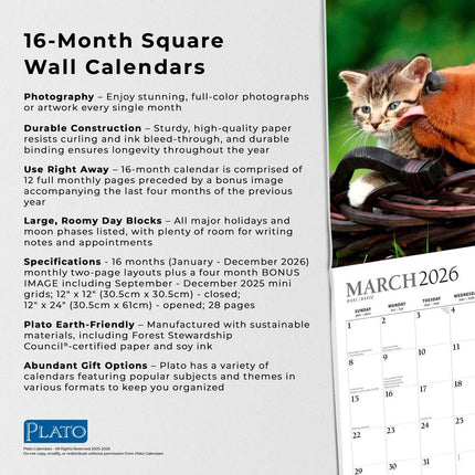 Browntrout Kittens and Puppies Kalender 2027