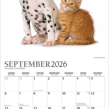 Browntrout Kittens and Puppies Kalender 2027