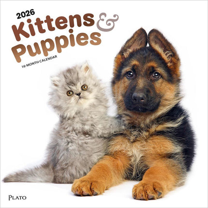 Browntrout Kittens and Puppies Kalender 2027