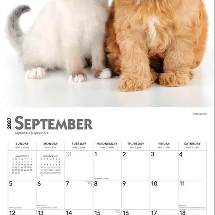 Browntrout Kittens and Puppies Kalender 2027