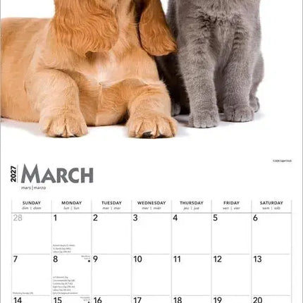 Browntrout Kittens and Puppies Kalender 2027