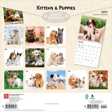 Browntrout Kittens and Puppies Kalender 2027