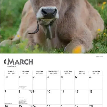 Browntrout Koeien Kalender 2027