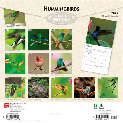 Browntrout Kolibries Kalender 2027