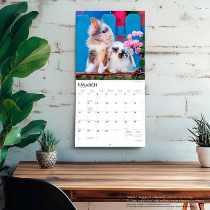 Browntrout Konijnen Kalender 2027