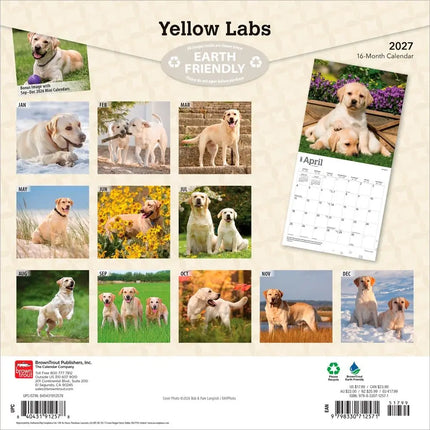 Browntrout Labrador Retriever Blond Kalender 2027