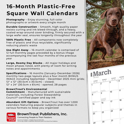 Browntrout Labrador Retriever Bruin Kalender 2026