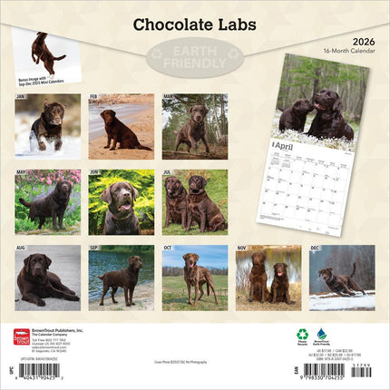 Browntrout Labrador Retriever Bruin Kalender 2026