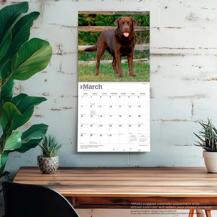 Browntrout Labrador Retriever Bruin Kalender 2027