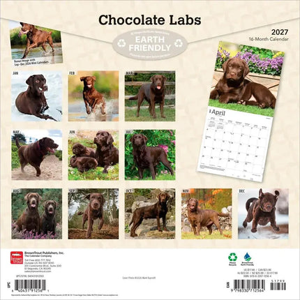 Browntrout Labrador Retriever Bruin Kalender 2027