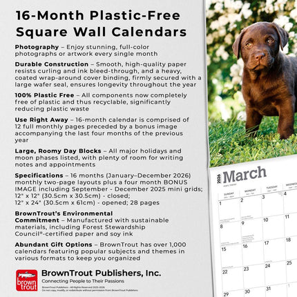 Browntrout Labrador Retriever Bruin Puppies Kalender 2026