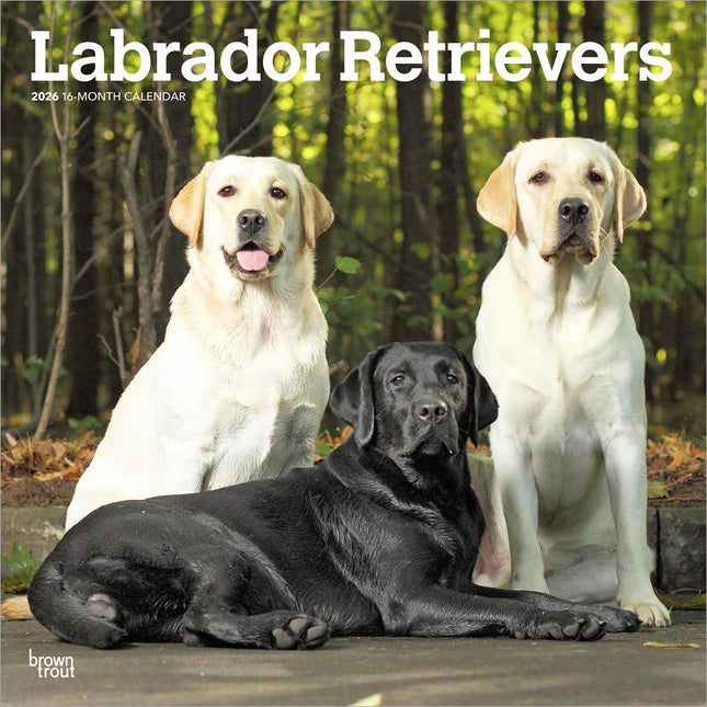 Black Labrador Retrievers 2025 Planner - BrownTrout Dog Lovers Calendar & Organizer