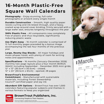 Browntrout Labrador Retriever Puppies Kalender 2026
