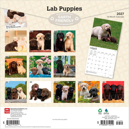 Browntrout Labrador Retriever Puppies Kalender 2027