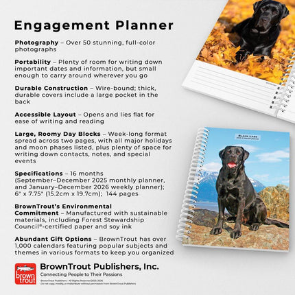 Browntrout Labrador Retriever Zwart Agenda 2027