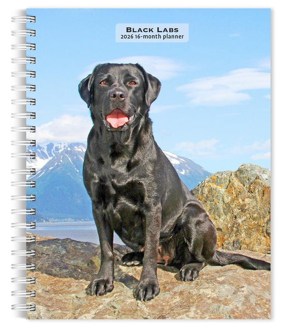 Browntrout Labrador Retriever Zwart Agenda 2027