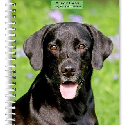 Browntrout Labrador Retriever Zwart Agenda 2027