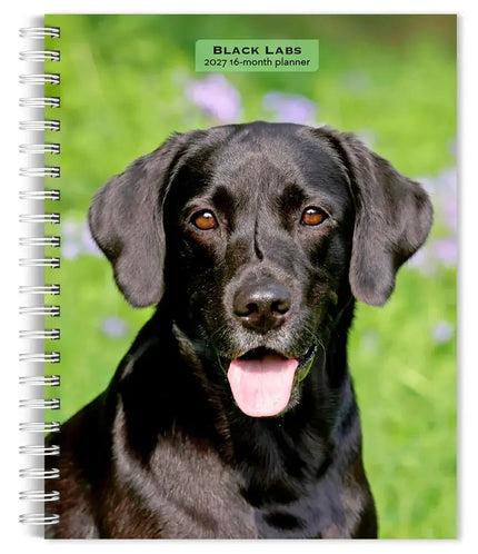 Browntrout Labrador Retriever Zwart Agenda 2027