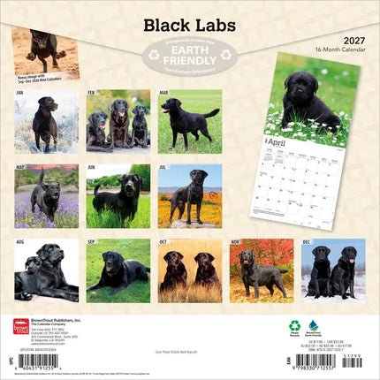 Browntrout Labrador Retriever Zwart Kalender 2027