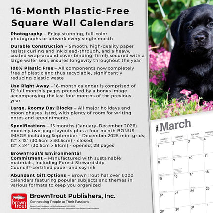 Browntrout Labrador Retriever Zwart Puppies Kalender 2026