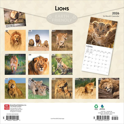 Browntrout Leeuwen Kalender 2027