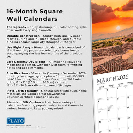 Browntrout Magic Places Kalender 2026