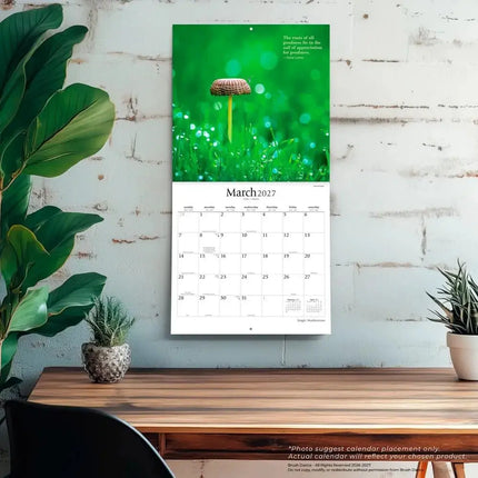 Browntrout Magische Paddenstoelen Kalender 2027