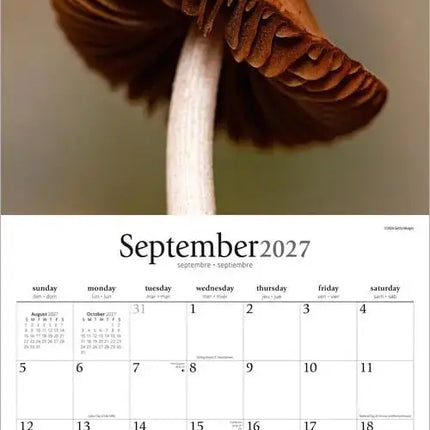 Browntrout Magische Paddenstoelen Kalender 2027