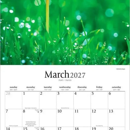 Browntrout Magische Paddenstoelen Kalender 2027