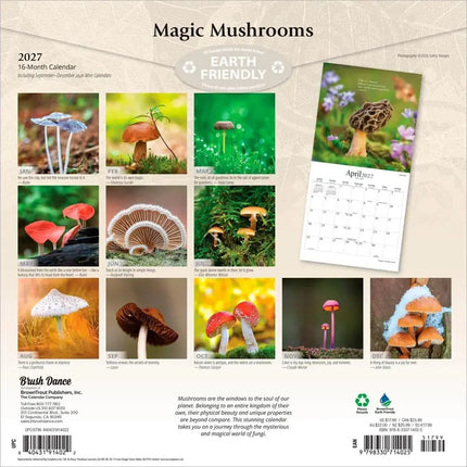 Browntrout Magische Paddenstoelen Kalender 2027